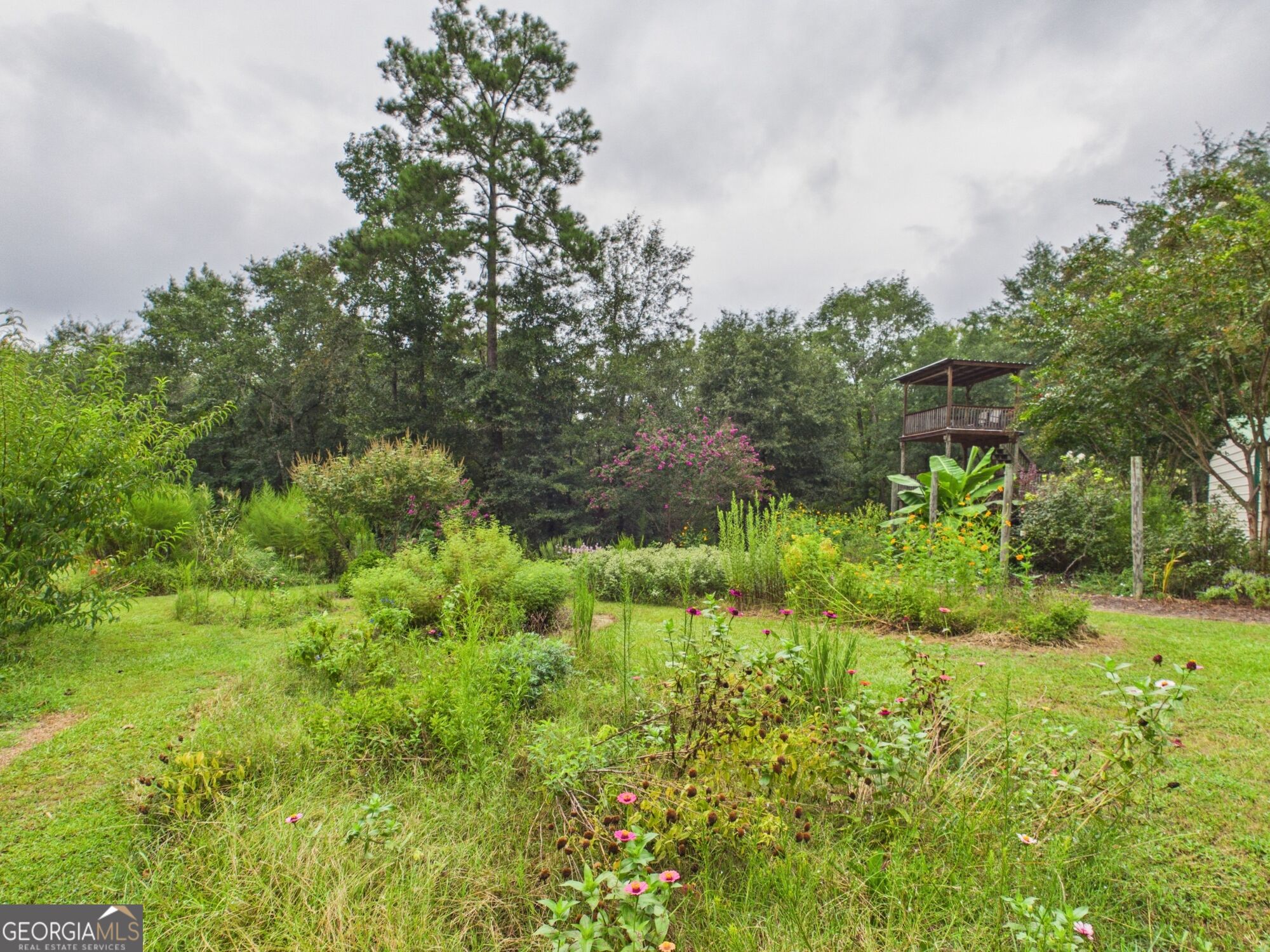 582 Asbury Church Road Irwinton, GA 31042 - Photo 46 of 142 Gallery Image 46