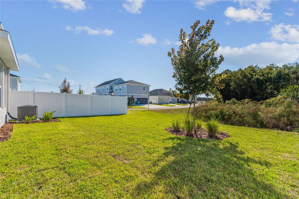 28780 Jujube Road Wesley Chapel, FL 33543 - Photo 50 of 55 Gallery Image 50