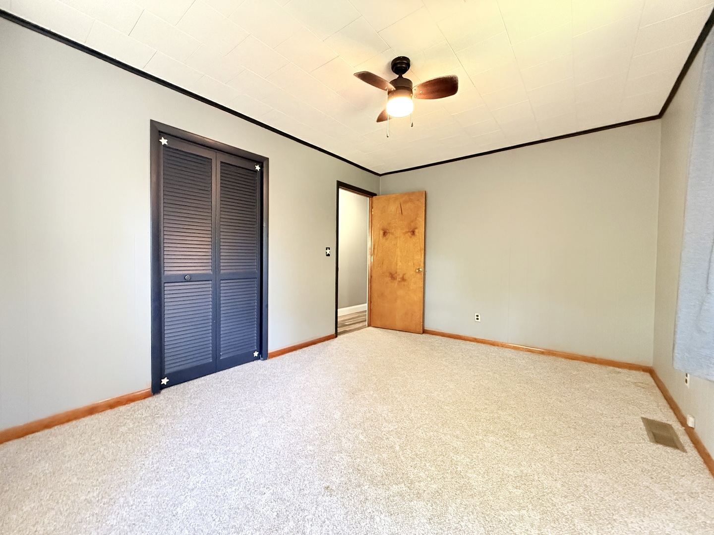 106 Highway 1 Cave In Rock, IL 62919 - Photo 22 of 27