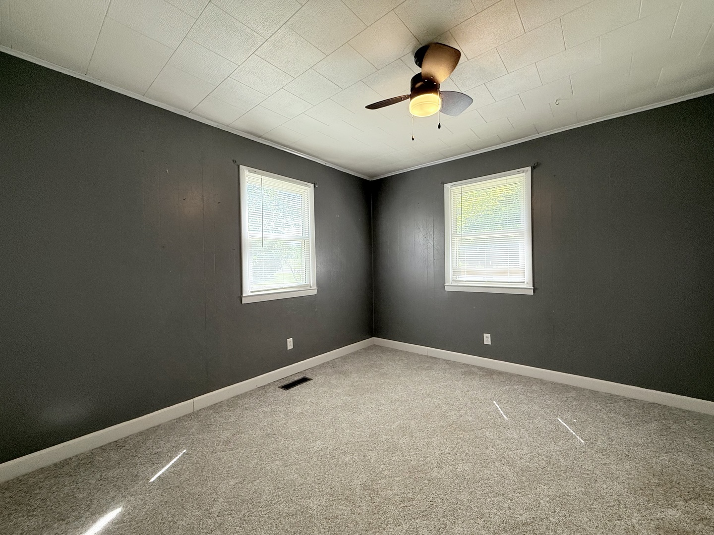 106 Highway 1 Cave In Rock, IL 62919 - Photo 23 of 27