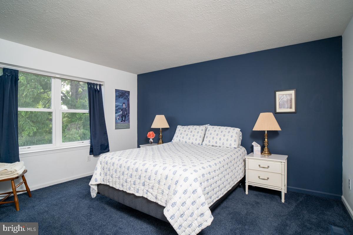 190 Ridgemore Drive Raphine, VA 24472 - Photo 28 of 95 Gallery Image 28