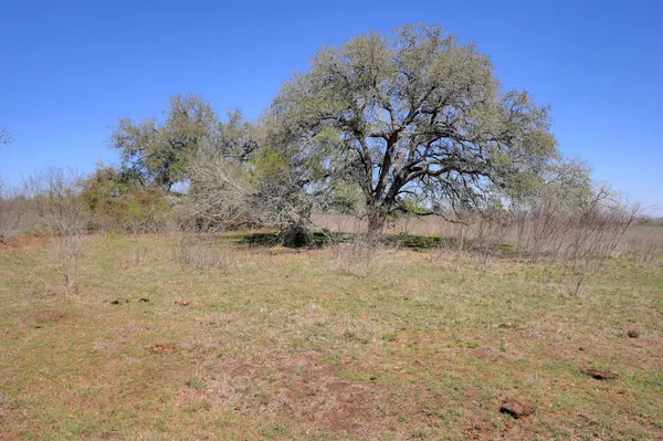 $448,500 | 0 Cr 397 Waelder Tx 78959, Waelder, TX 78959