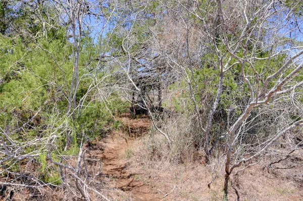 $448,500 | 0 Cr 397 Waelder Tx 78959, Waelder, TX 78959