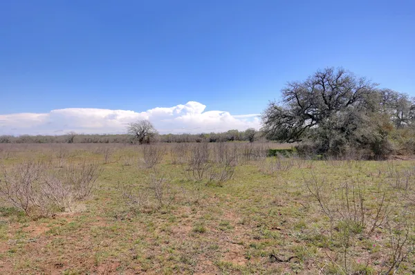$448,500 | 0 Cr 397 Waelder Tx 78959, Waelder, TX 78959