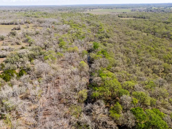 $448,500 | 0 Cr 397 Waelder Tx 78959, Waelder, TX 78959