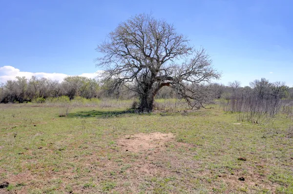 $448,500 | 0 Cr 397 Waelder Tx 78959, Waelder, TX 78959