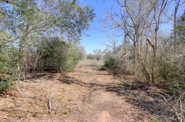 $448,500 | 0 Cr 397 Waelder Tx 78959, Waelder, TX 78959