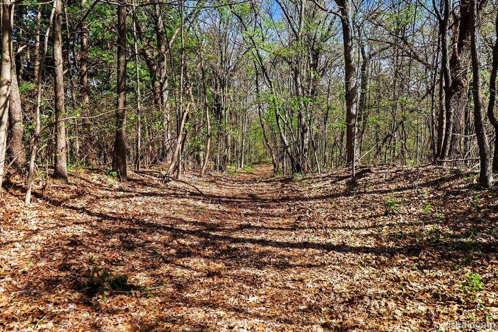 8815 Milford Road Holly, MI 48442 - Photo 20 of 52