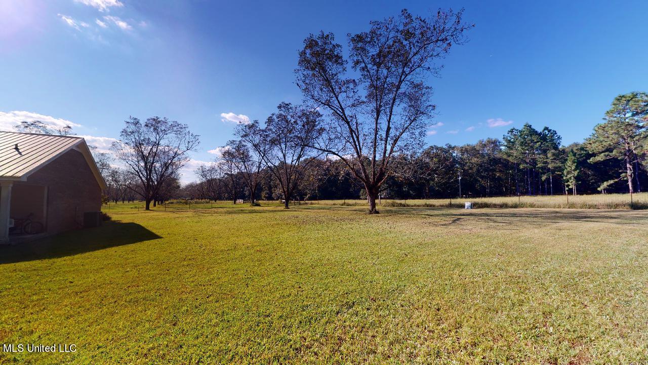 136 Henry Tanner Road Lucedale, MS 39452 - Photo 28 of 29 136-Henry-Tanner-Ln-10142021_155424