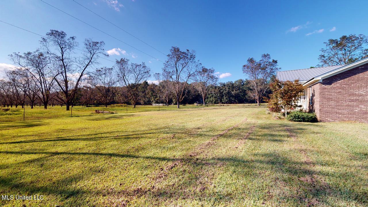 136 Henry Tanner Road Lucedale, MS 39452 - Photo 29 of 29 136-Henry-Tanner-Ln-10142021_154943