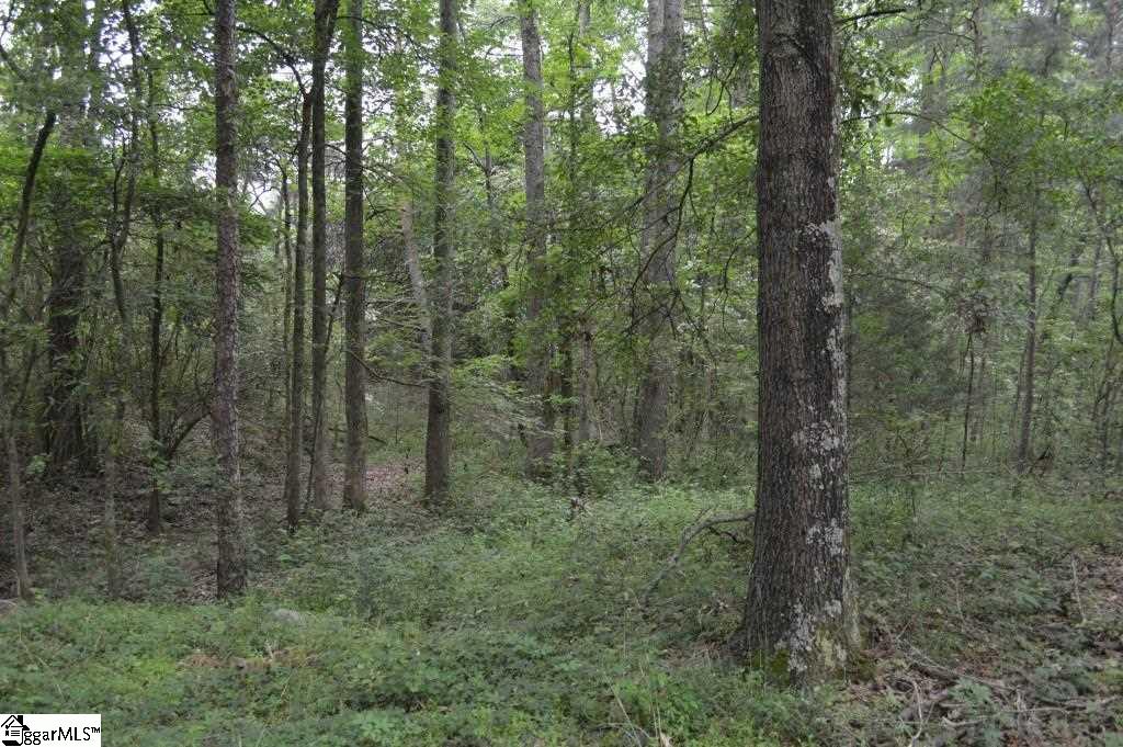 171 Conneross Road Townville, SC 29689 - Photo 14 of 28 Gallery Image 14
