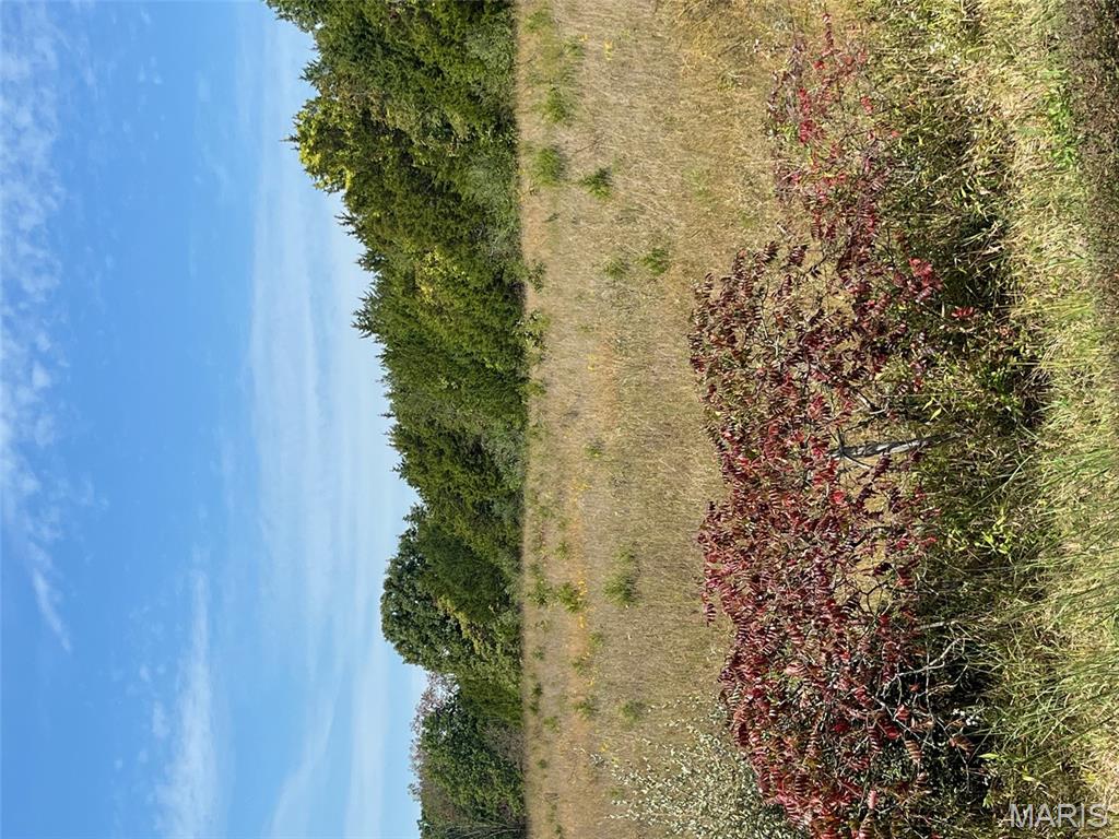 103 Coffeyton Road Bourbon, MO 65441 - Photo 3 of 3