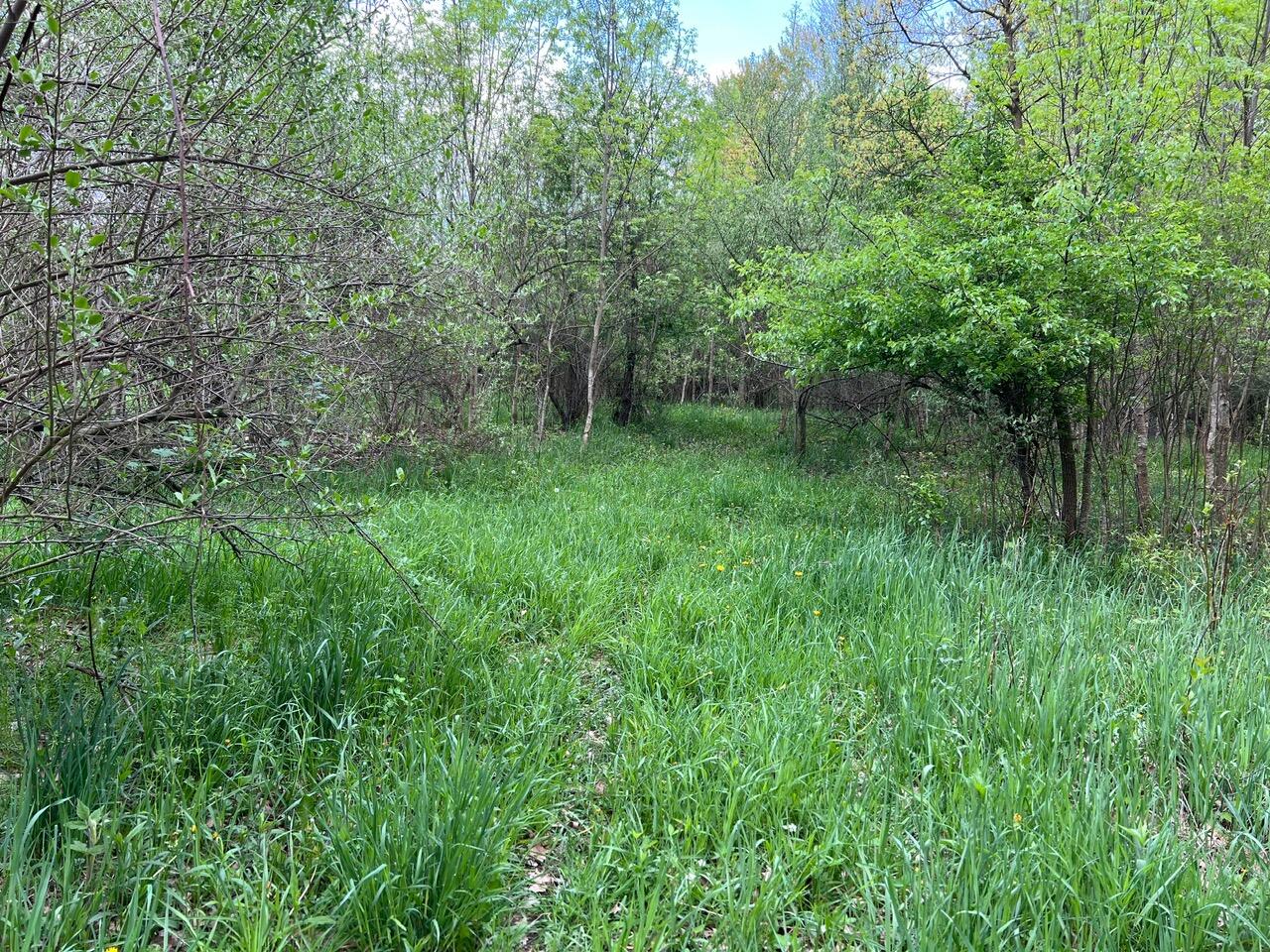 8431 East Manales Road Branch, MI 49402 - Photo 14 of 25 IMG_1808
