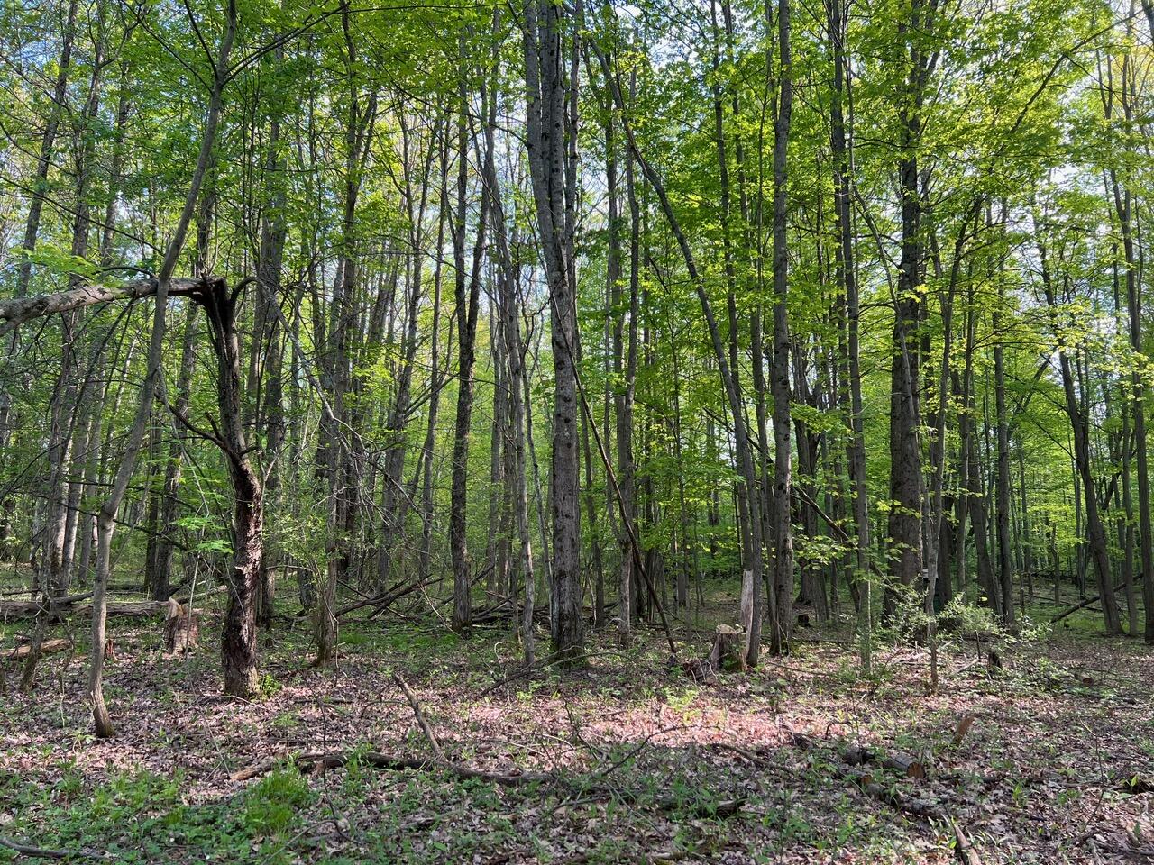 8431 East Manales Road Branch, MI 49402 - Photo 7 of 25 IMG_1796