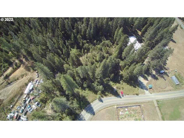 a black and white photo of a park