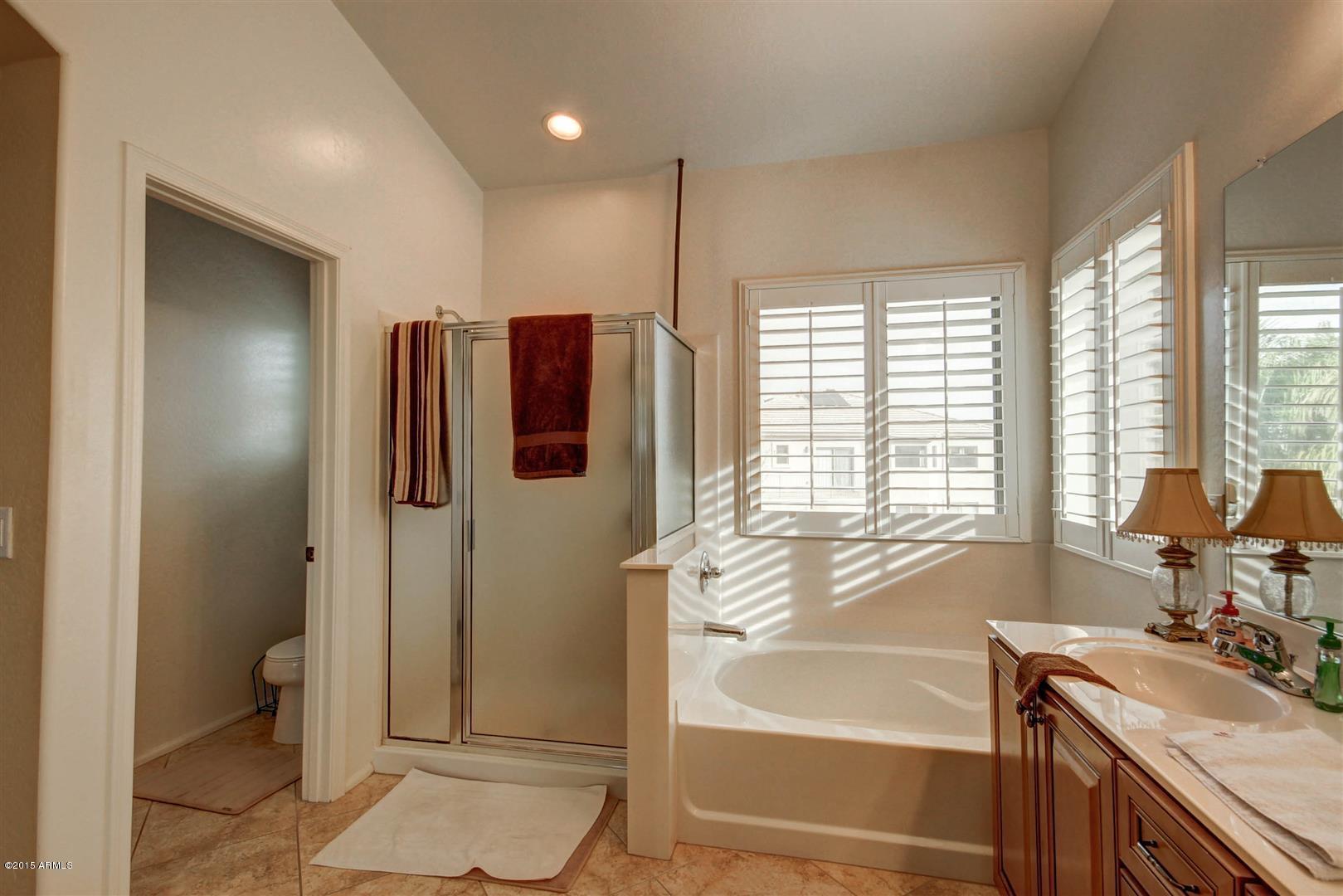 45120 West Rhea Road Maricopa, AZ 85139 - Photo 28 of 36 Rhea (35)