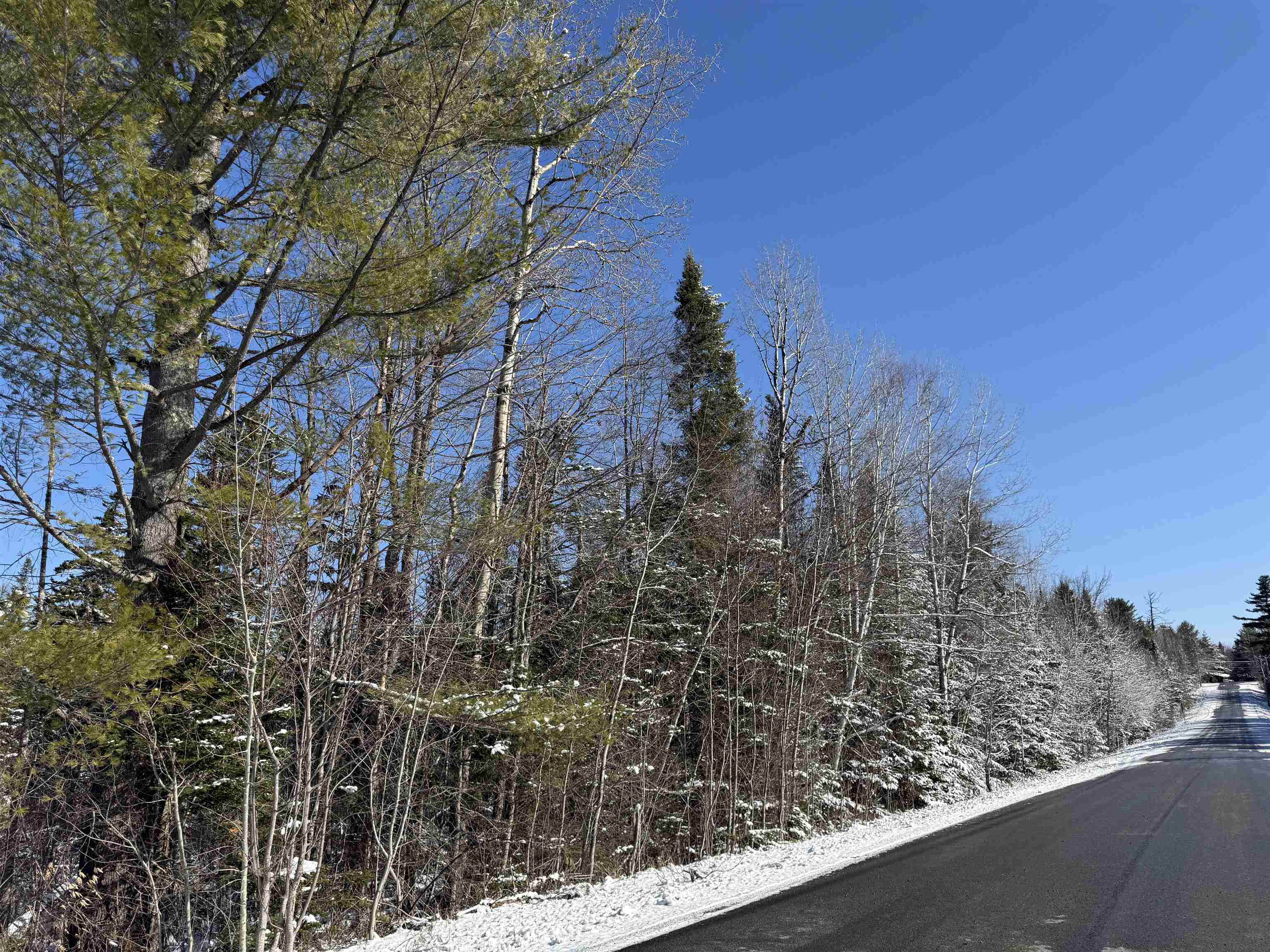 0 York Pond Road Milan, NH 03588 - Photo 2 of 11 Gallery Image 2
