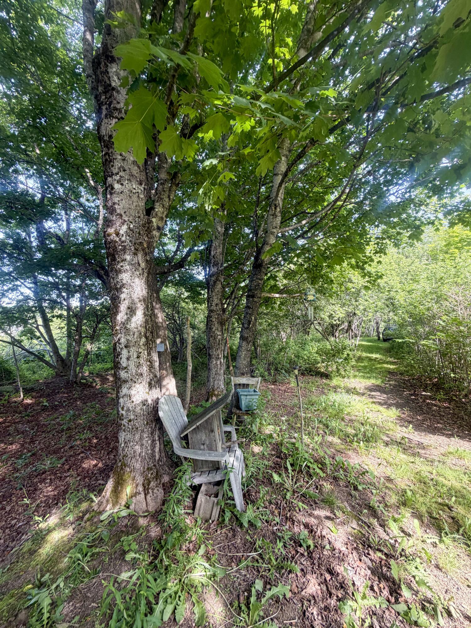 39 Jacksonville Road East Machias, ME 04630 - Photo 13 of 17
