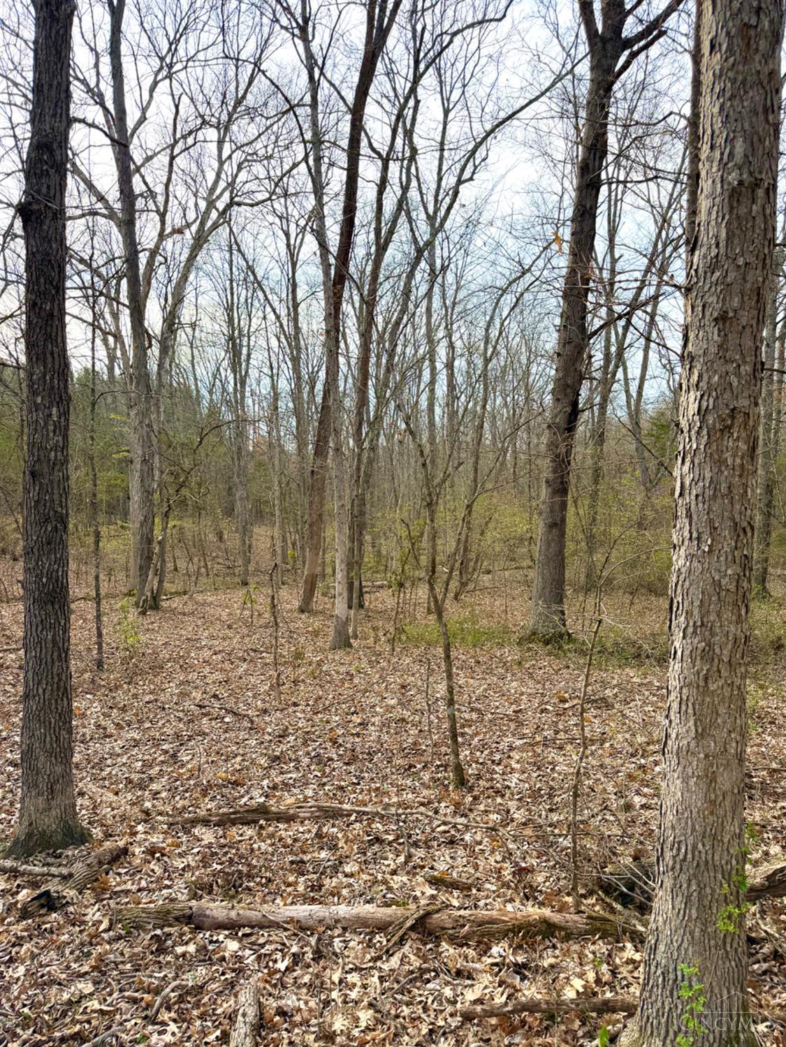 1600 Magee Jones Road Peebles, OH 45660 - Photo 42 of 91