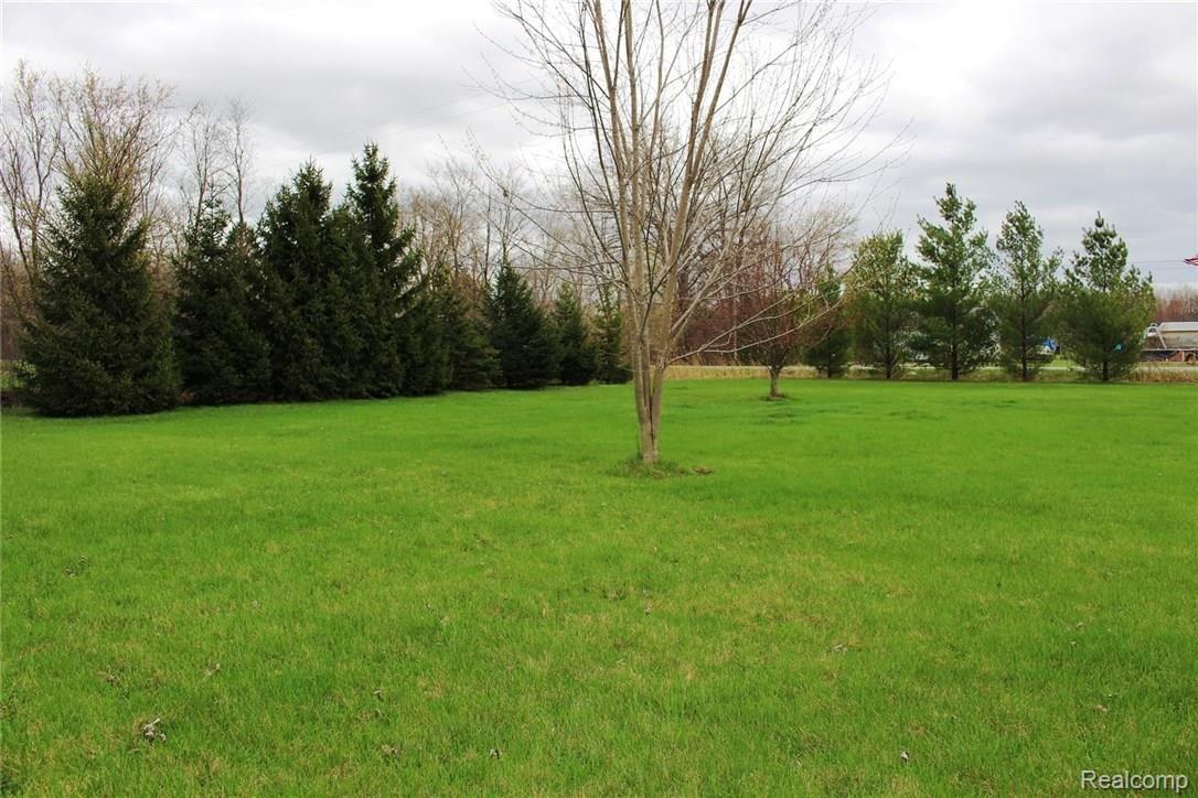1656 Yensch Road Dundee, MI 48131 - Photo 25 of 25 94 backyard.JPG