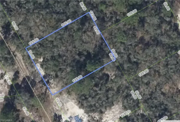 $21,500 | 297 Blue Horizon Drive, Lake Placid, FL 33852