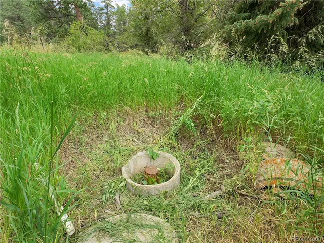 a view of outdoor space and trees