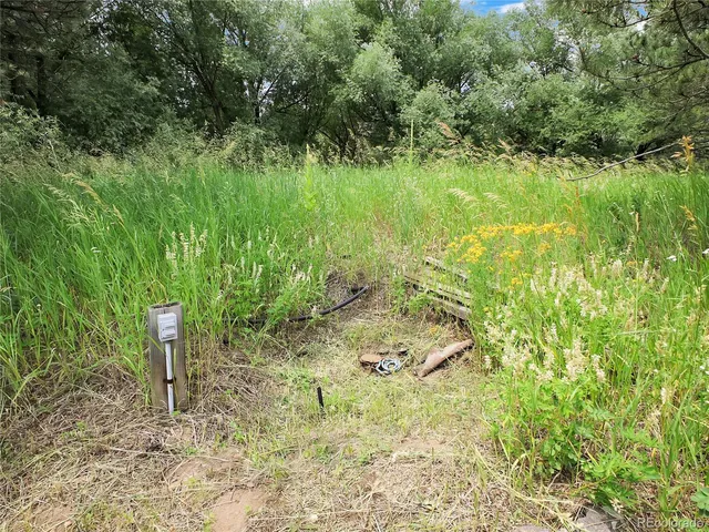 a view of a garden with plants and a bench