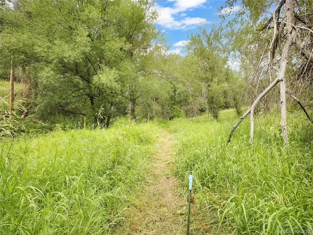 a view of swimming pool from a yard
