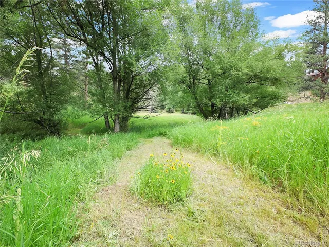 a view of backyard with green space