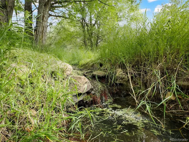 a backyard of a building with lots of green space