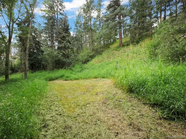 a view of a yard with a trees