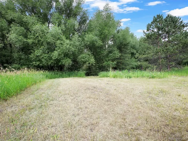 a view of outdoor space and yard