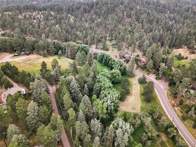 a view of a forest with a tree