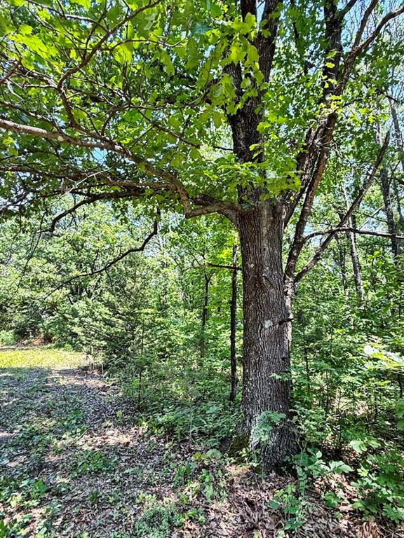 Tbd3 East 1550 Road Jerico Springs, MO 64756 - Photo 17 of 42