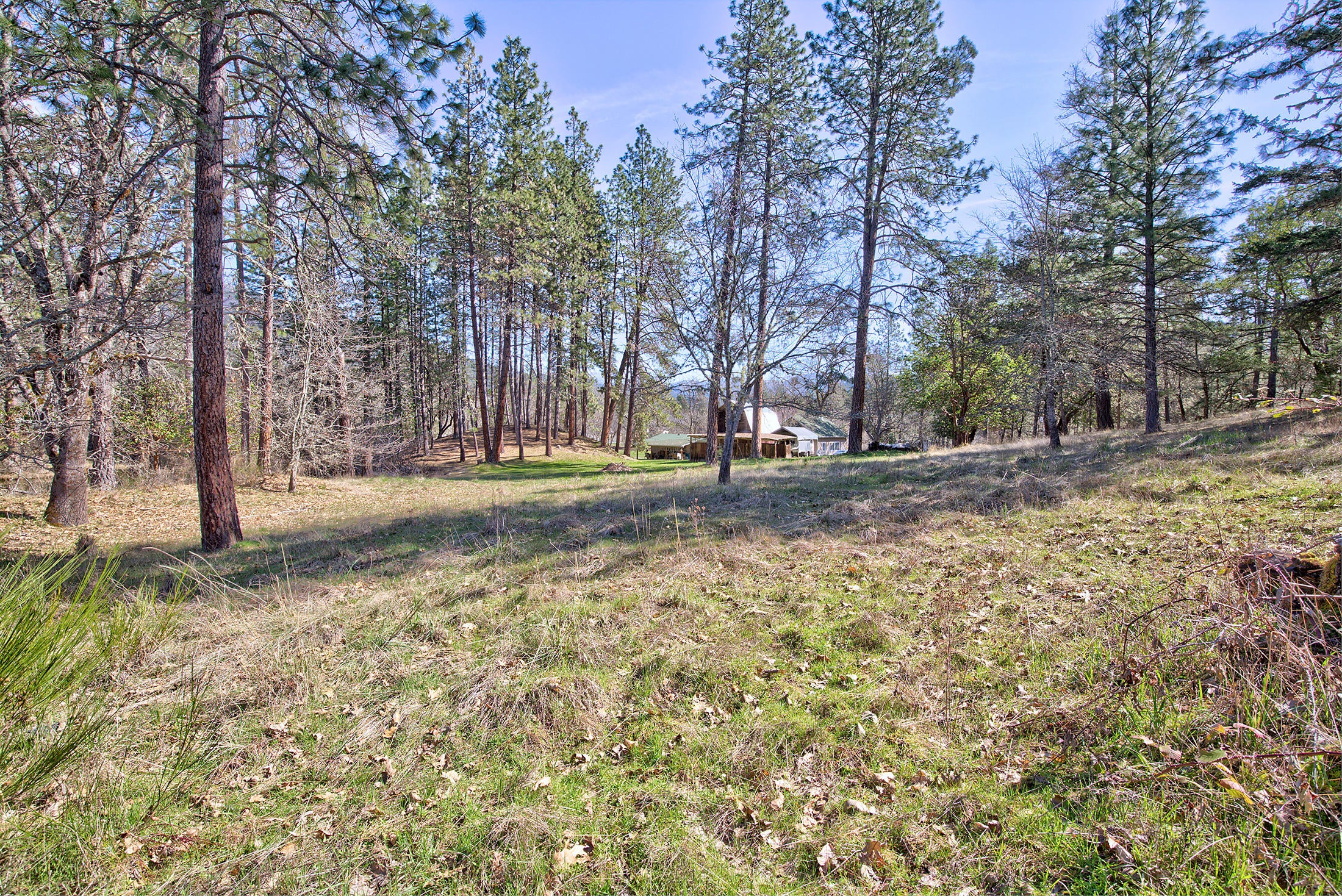 280 Oxyoke Road Grants Pass, OR 97526 - Photo 23 of 59 280oxyoke027