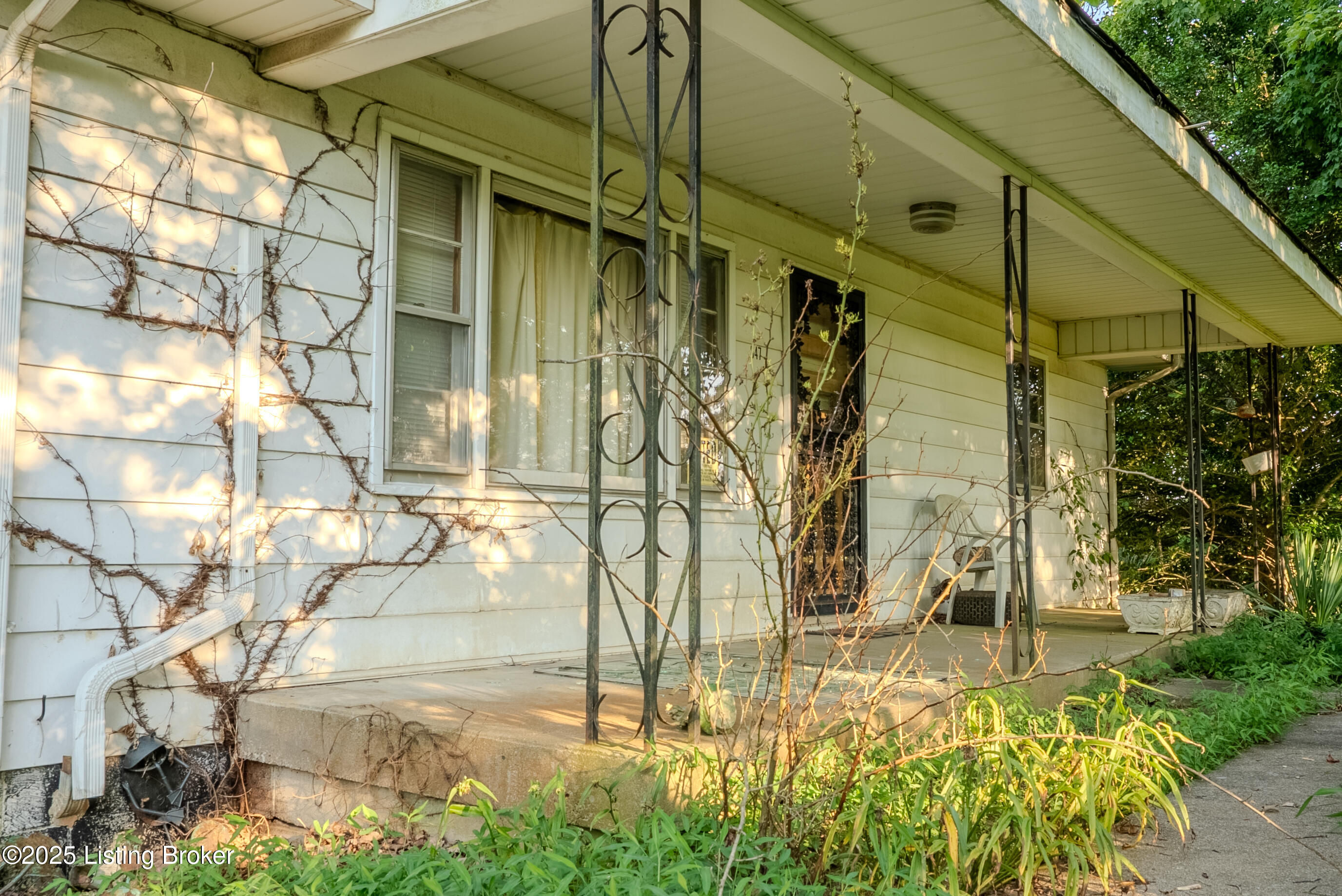 Green County-25