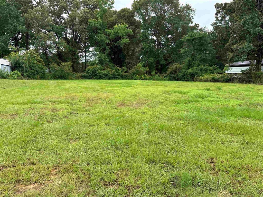 495 Fir Road Gladewater, TX 75647 - Photo 2 of 3 a view of a garden with trees