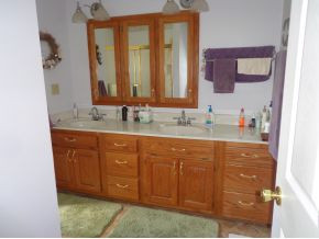 180 New Hope Road Greeneville, TN 37745 - Photo 12 of 23 master bath