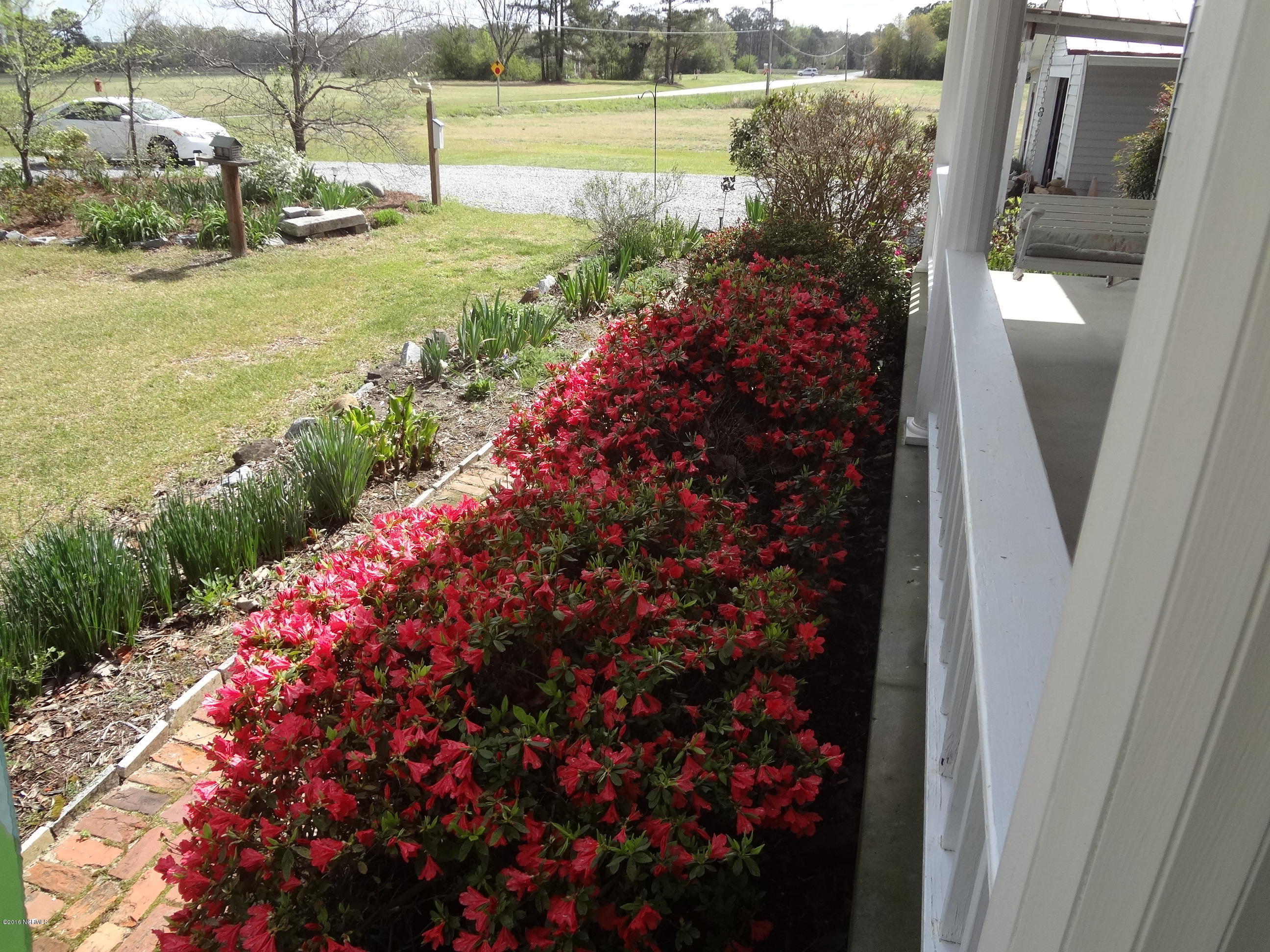 5726 Reedy Branch Road Winterville, NC 28590 - Photo 12 of 89 View from Front Porch