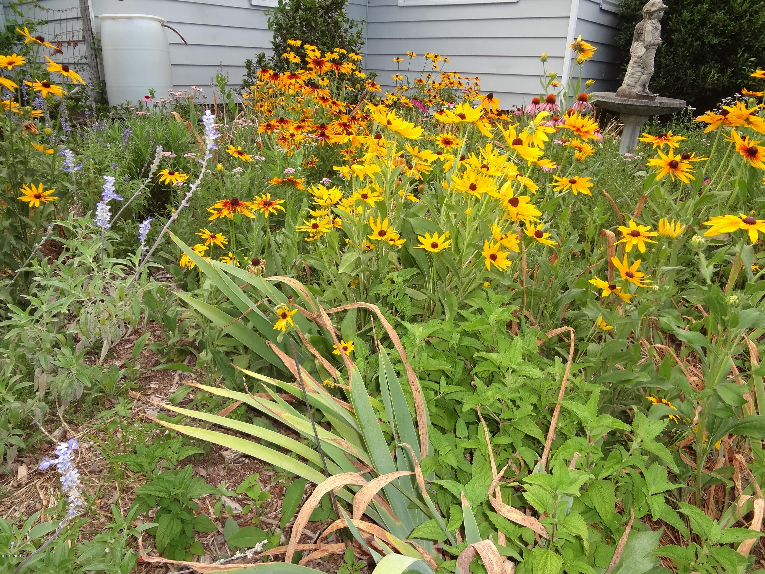 5726 Reedy Branch Road Winterville, NC 28590 - Photo 15 of 89 DSC02968