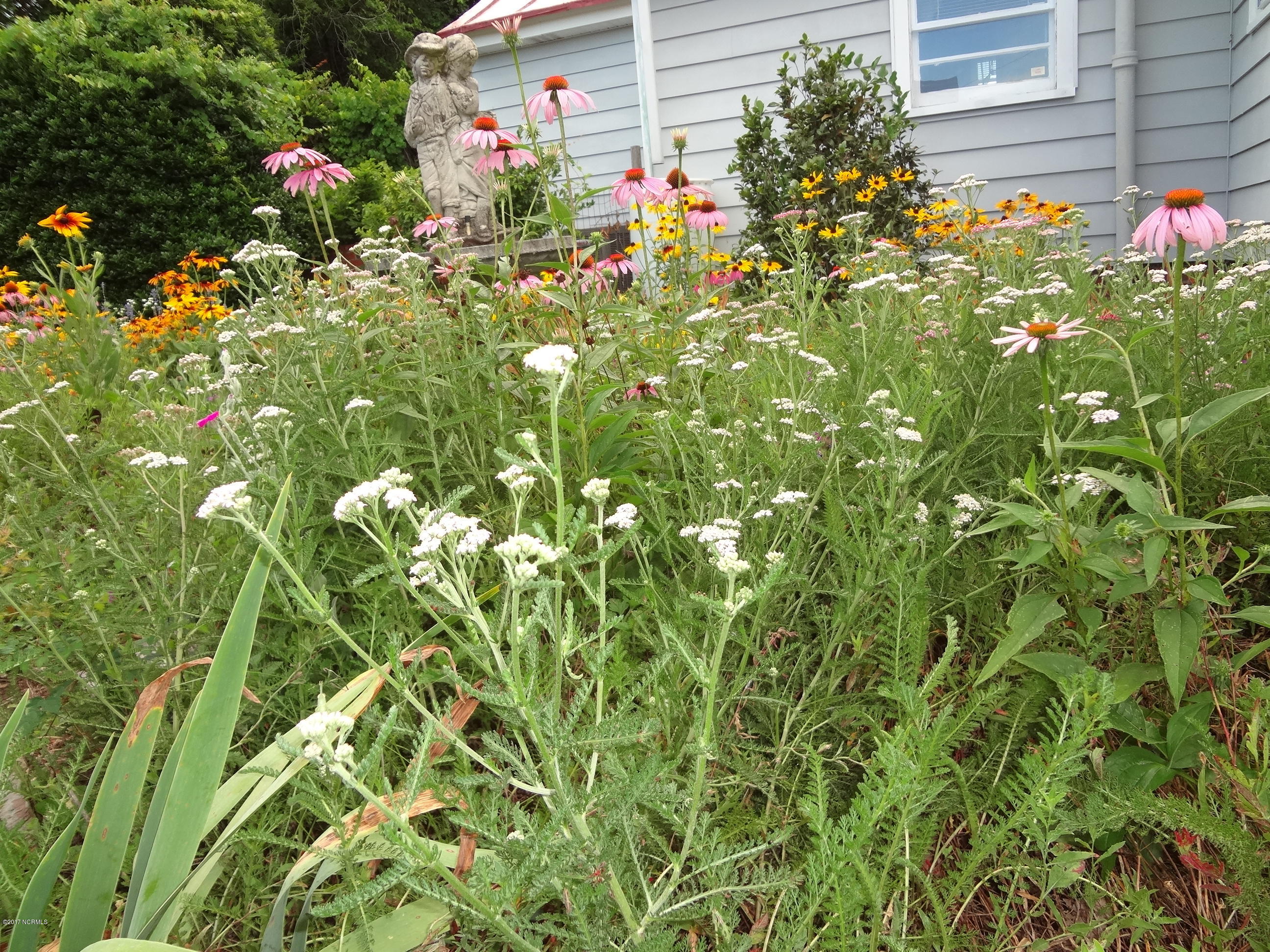 5726 Reedy Branch Road Winterville, NC 28590 - Photo 19 of 89 DSC02970