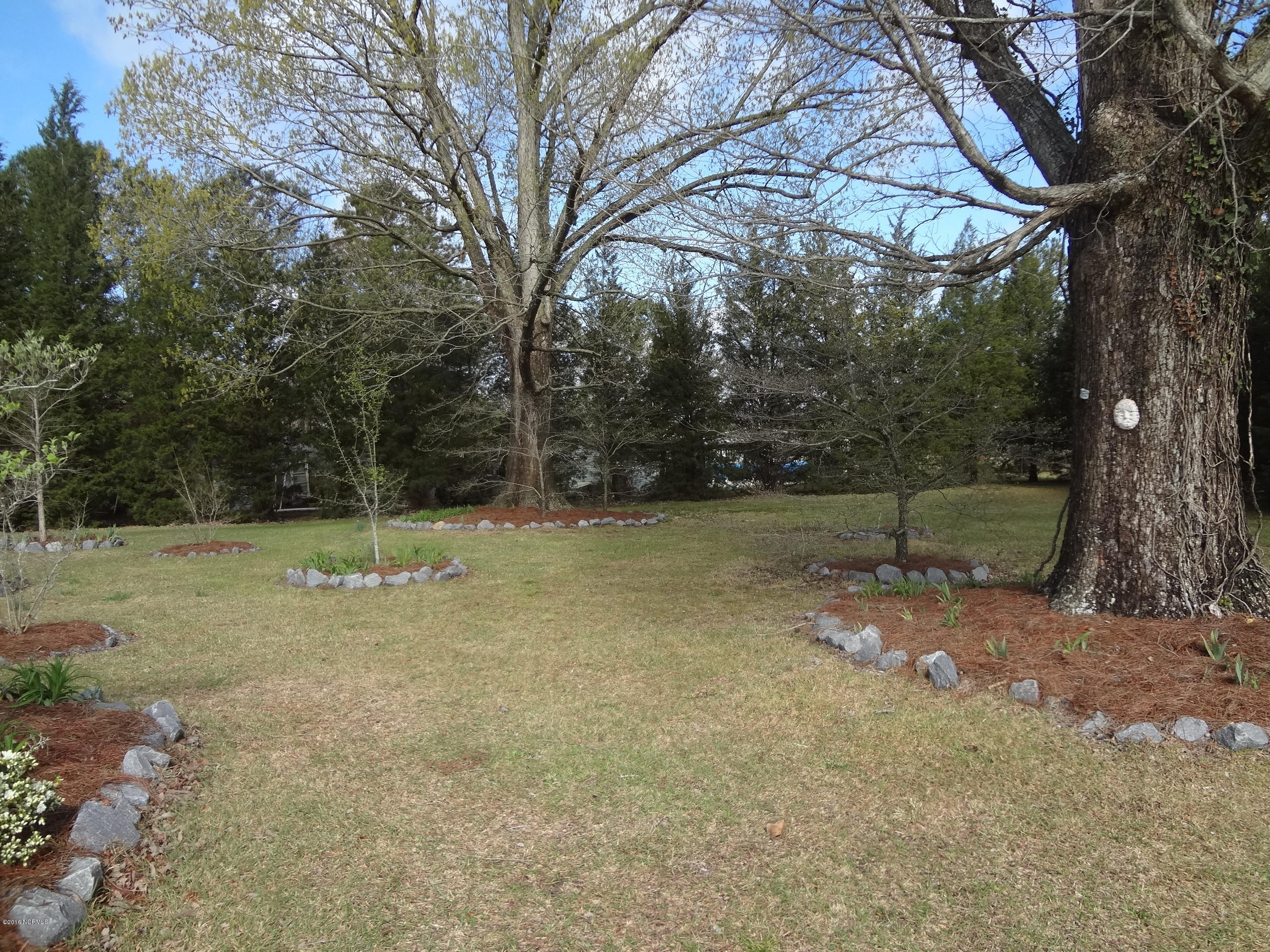 5726 Reedy Branch Road Winterville, NC 28590 - Photo 32 of 89 Oak Tree Planted 1923