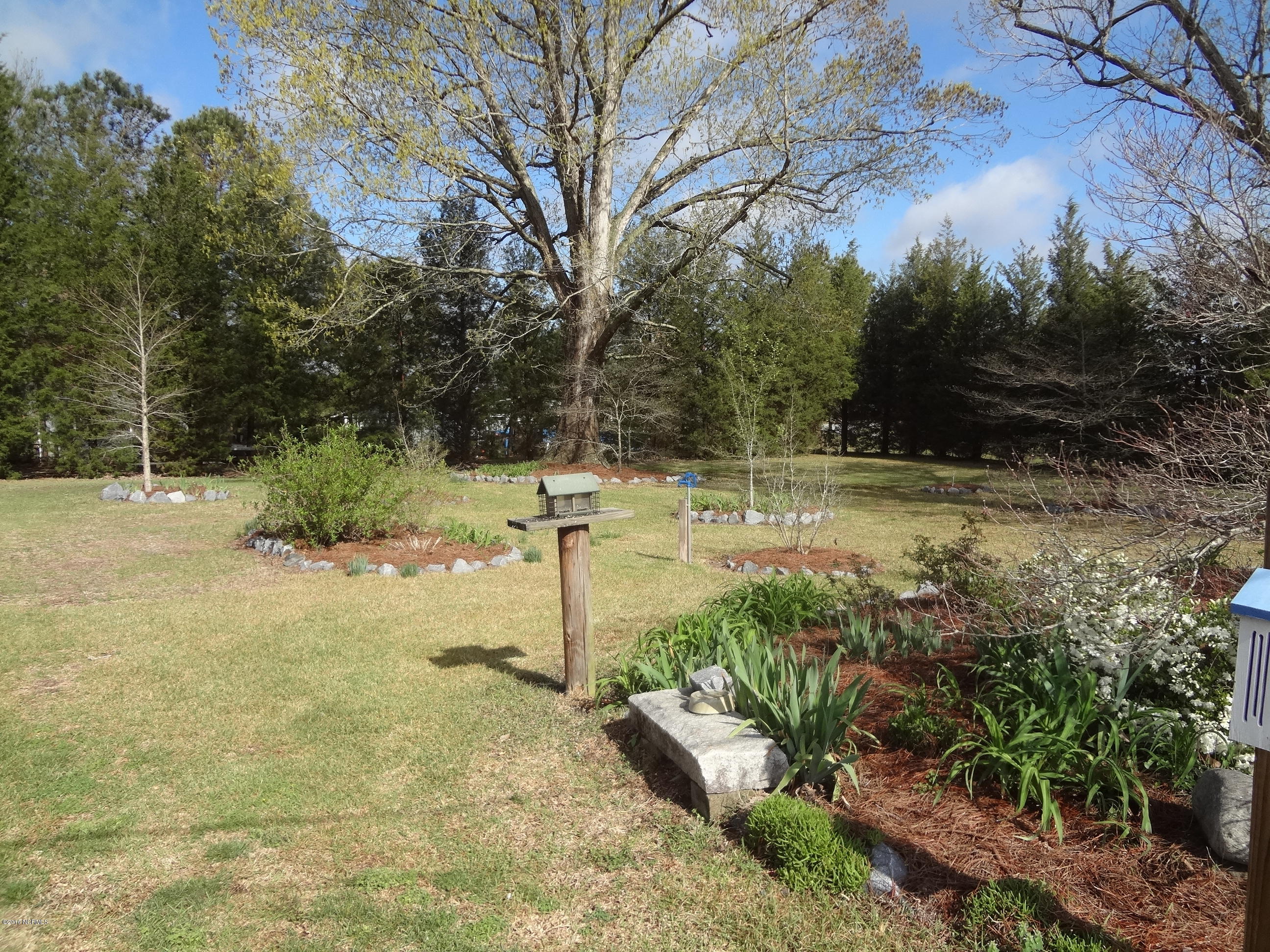 5726 Reedy Branch Road Winterville, NC 28590 - Photo 33 of 89 Front Yard