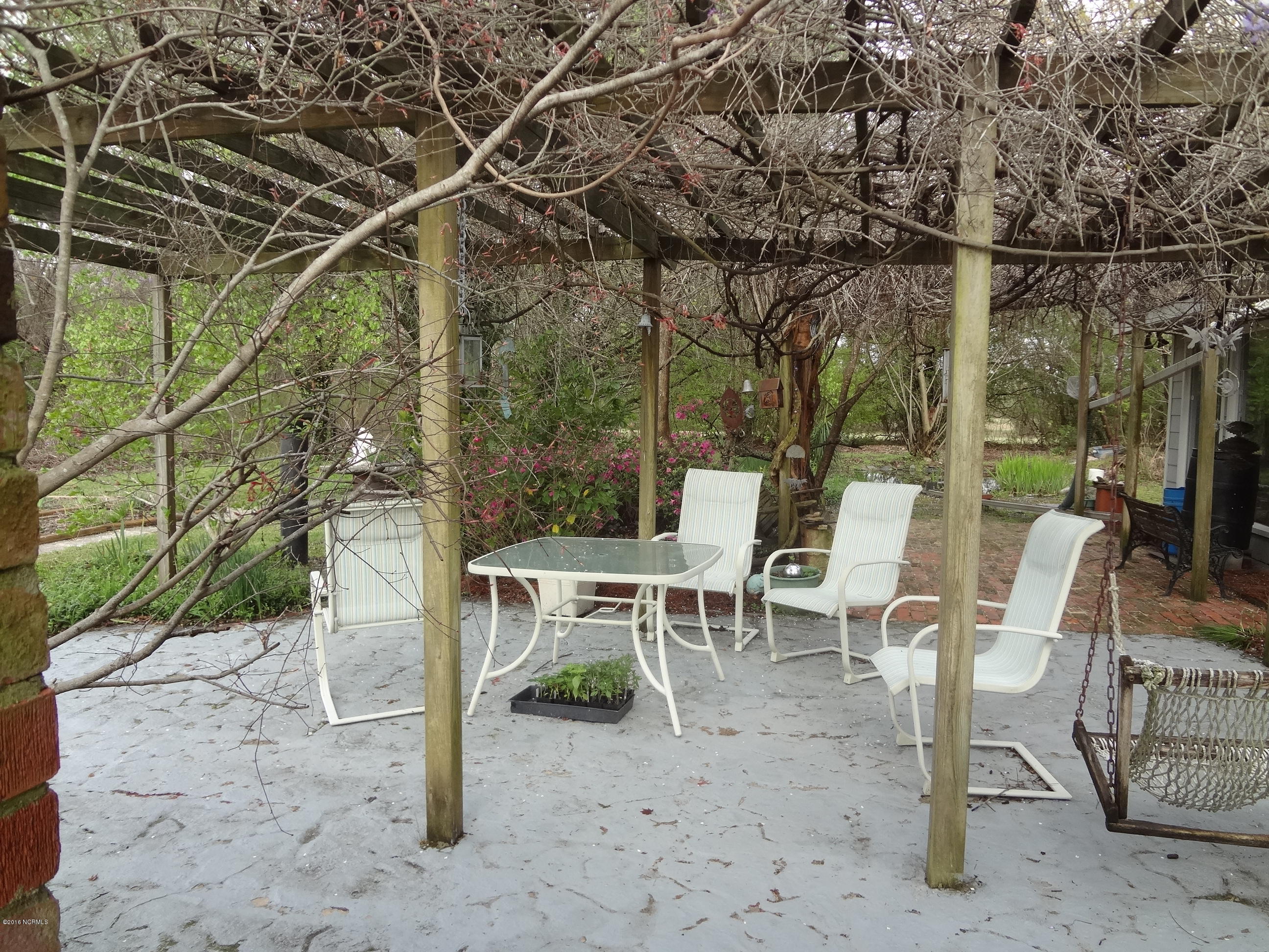 5726 Reedy Branch Road Winterville, NC 28590 - Photo 35 of 89 Patio Grape Vines Overhead