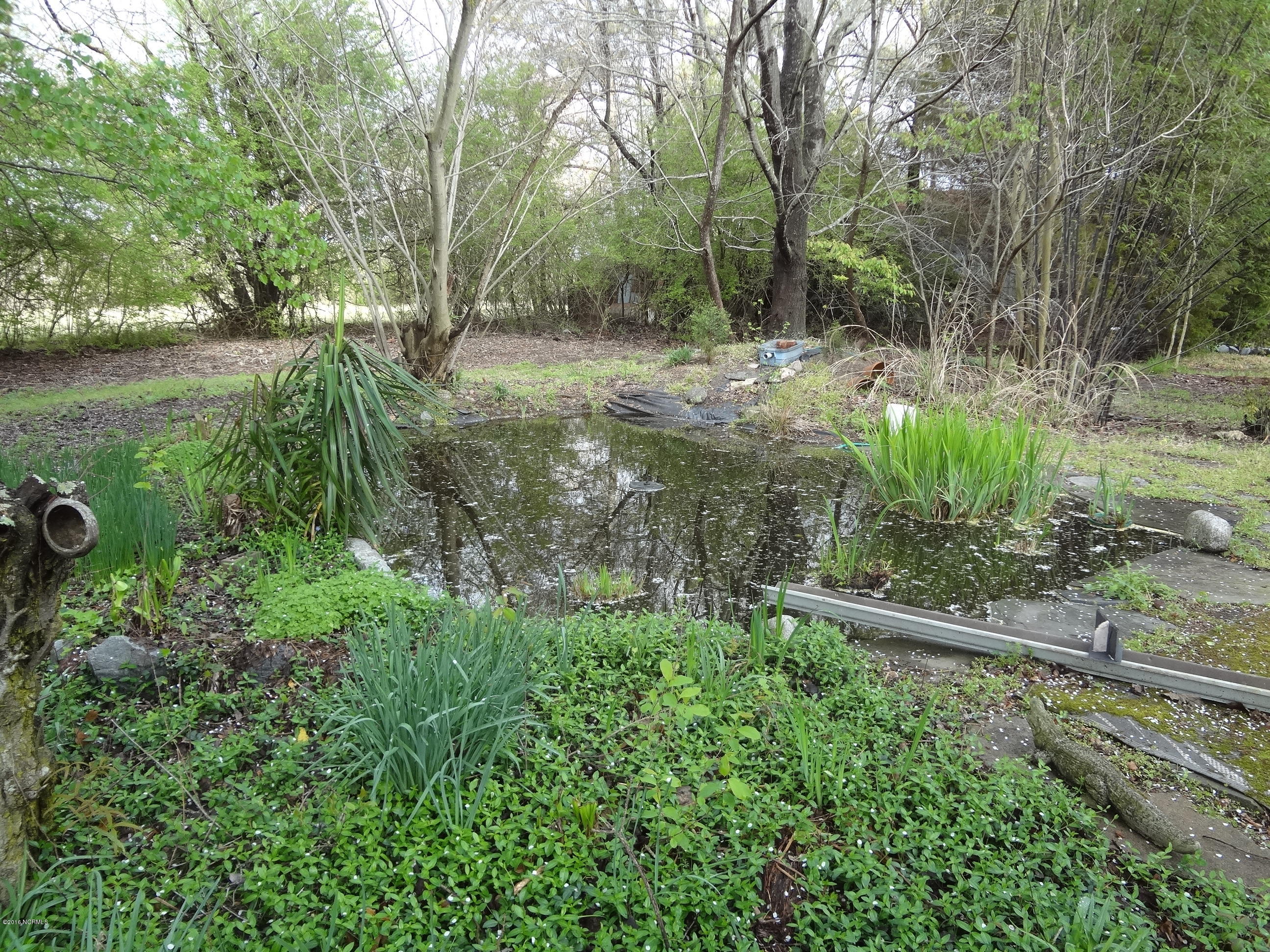 5726 Reedy Branch Road Winterville, NC 28590 - Photo 37 of 89 Small Pond