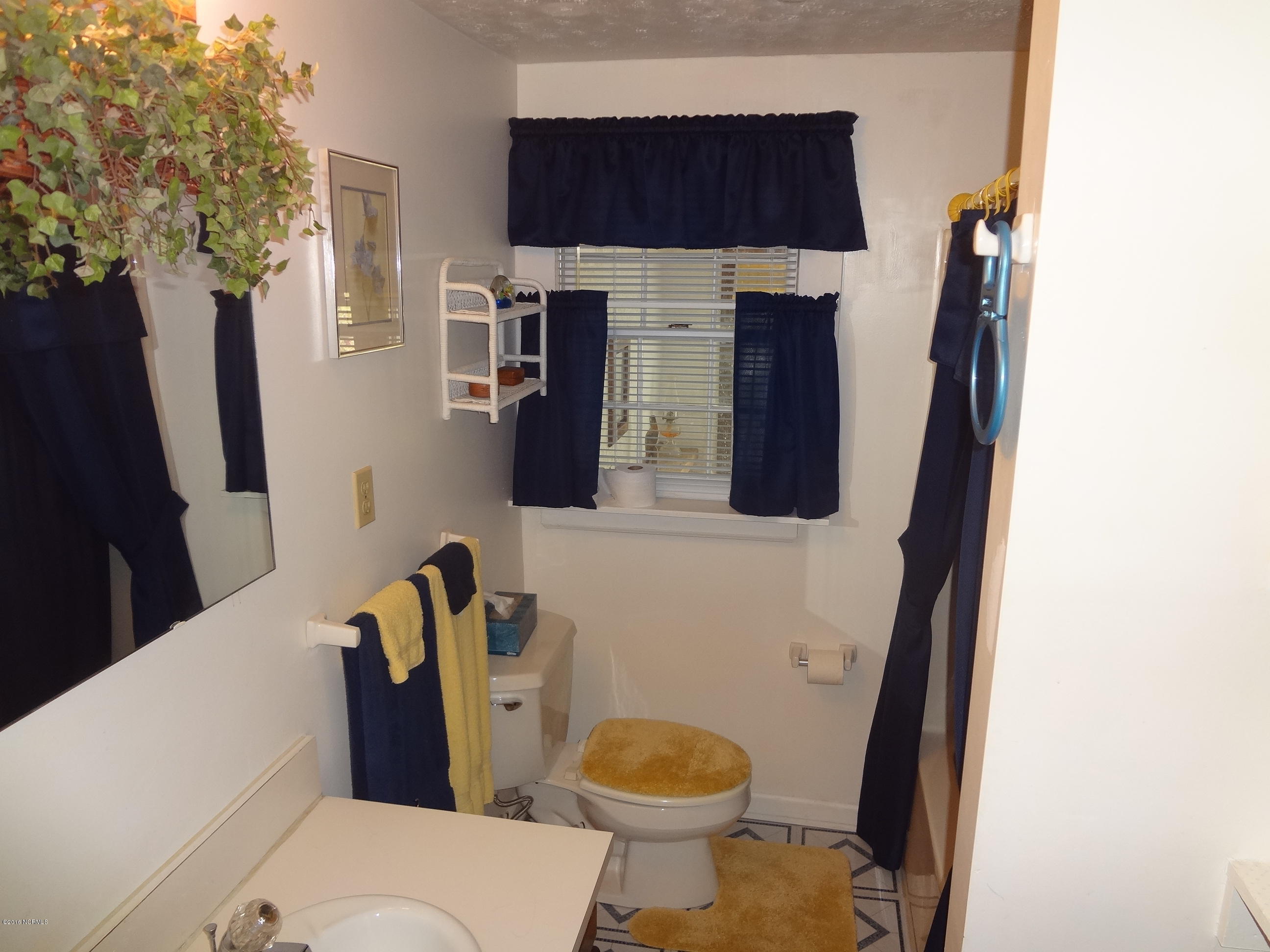 5726 Reedy Branch Road Winterville, NC 28590 - Photo 61 of 89 Guest Bath