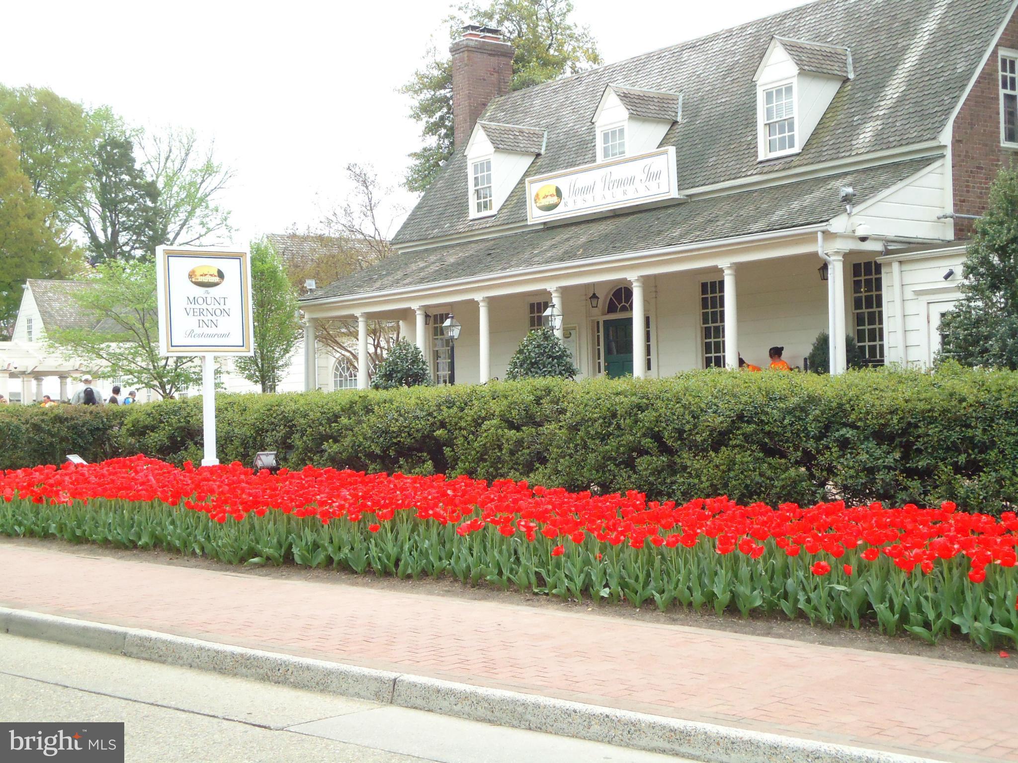8418 Wagon Wheel Road Alexandria, VA 22309 - Photo 28 of 30 Mt. Vernon Restaurant Inn down the road