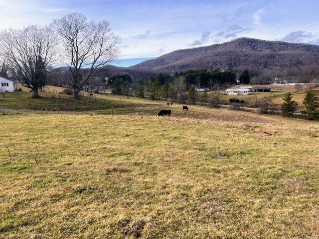 490 Clearfork Road, Unit 53 Tazewell, VA 24651 - Photo 8 of 29 Gallery Image 8