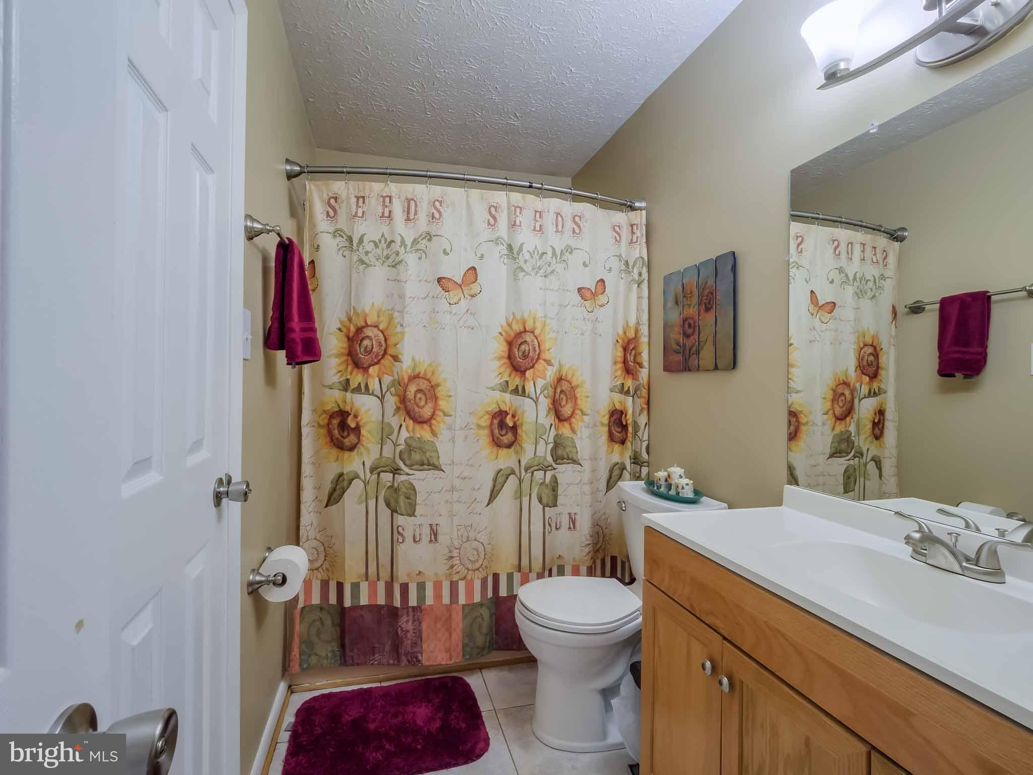 17364 Teagues Point Road Hughesville, MD 20637 - Photo 20 of 30 Hall bath with shower/tub combination