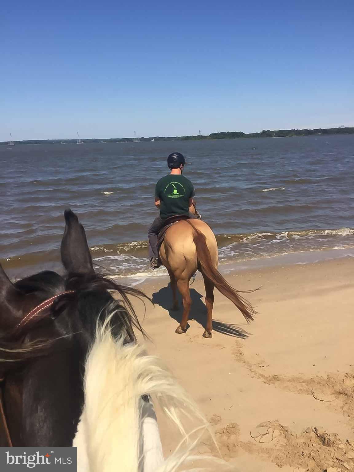 Patuxent River access and beach